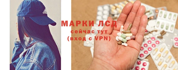 ГАЛЛЮЦИНОГЕННЫЕ ГРИБЫ Липки