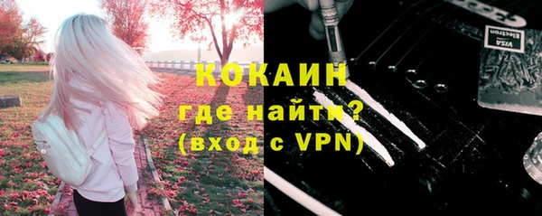 ГАЛЛЮЦИНОГЕННЫЕ ГРИБЫ Липки