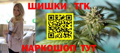 МДПВ Гатчина