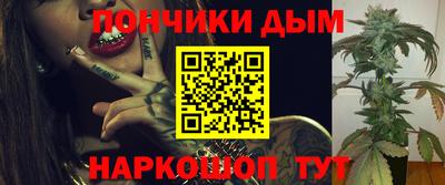 МДПВ Гатчина