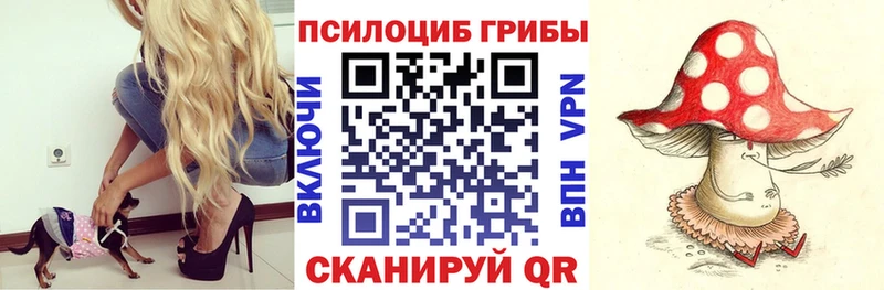 Галлюциногенные грибы мухоморы  Копейск 