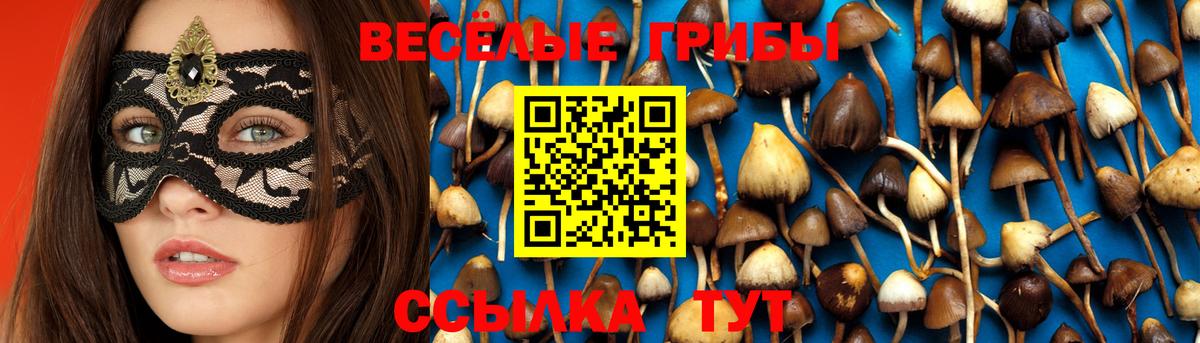 Псилоцибиновые грибы Cubensis  Вход с VPN  Копейск 
