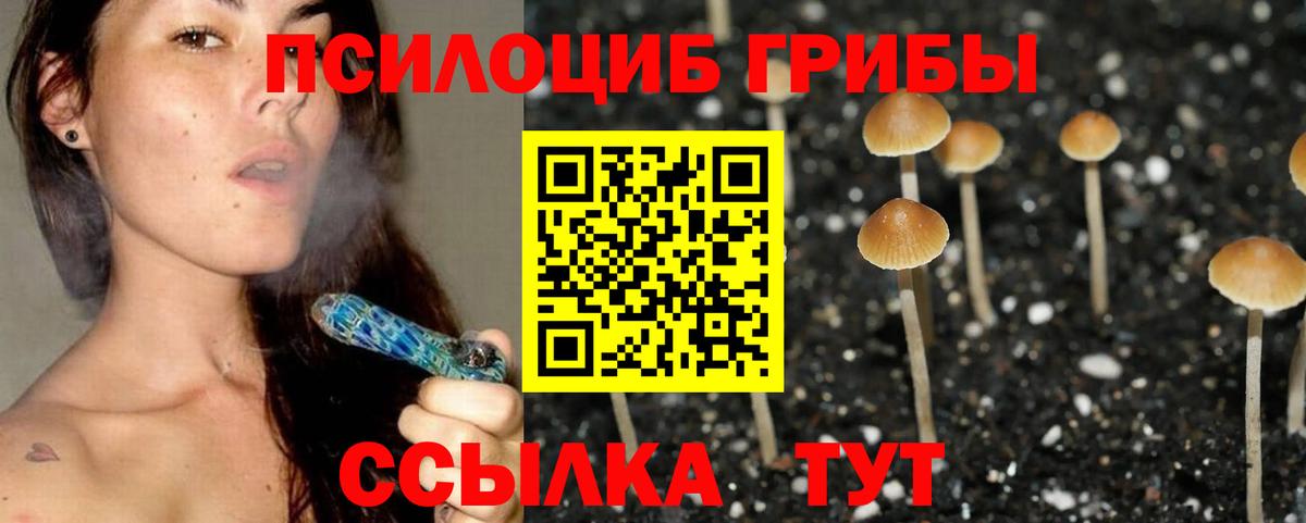 Галлюциногенные грибы мицелий Копейск